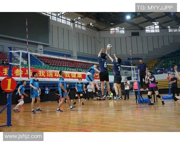 杭州排球队总决赛精彩回顾团队协作展现无遗
